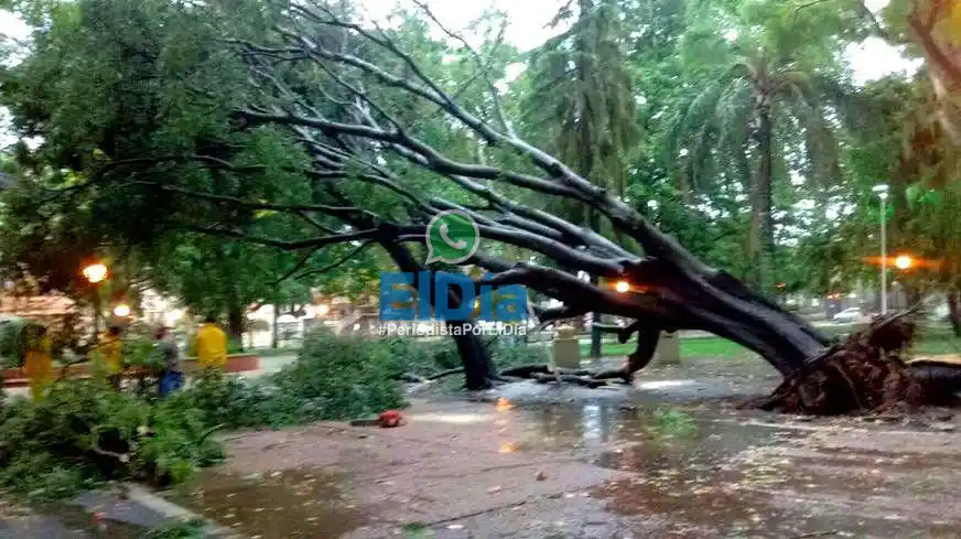 La tormenta provocó destrozos en algunas zonas de la ciudad 