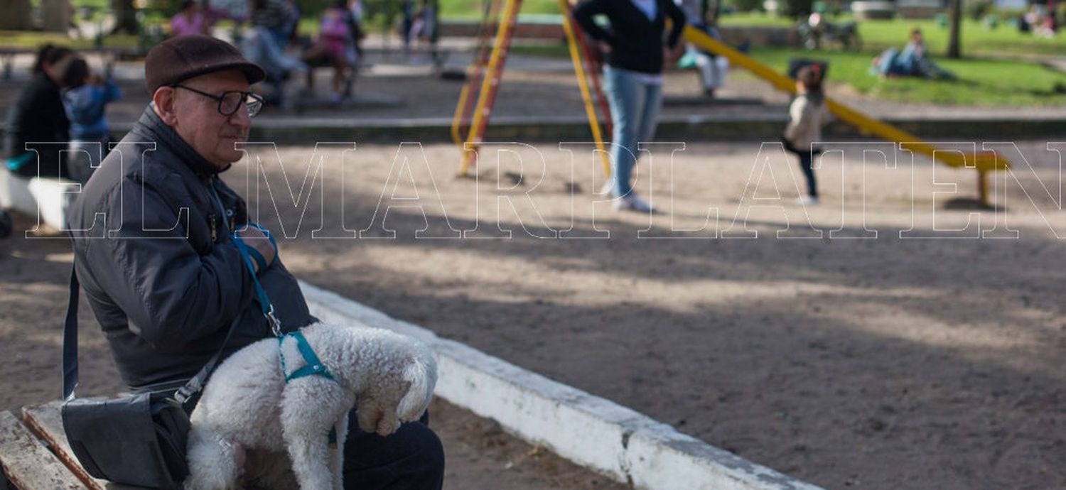 Impulsan “Mar del Plata, ambientes 100% libres de humo de tabaco”