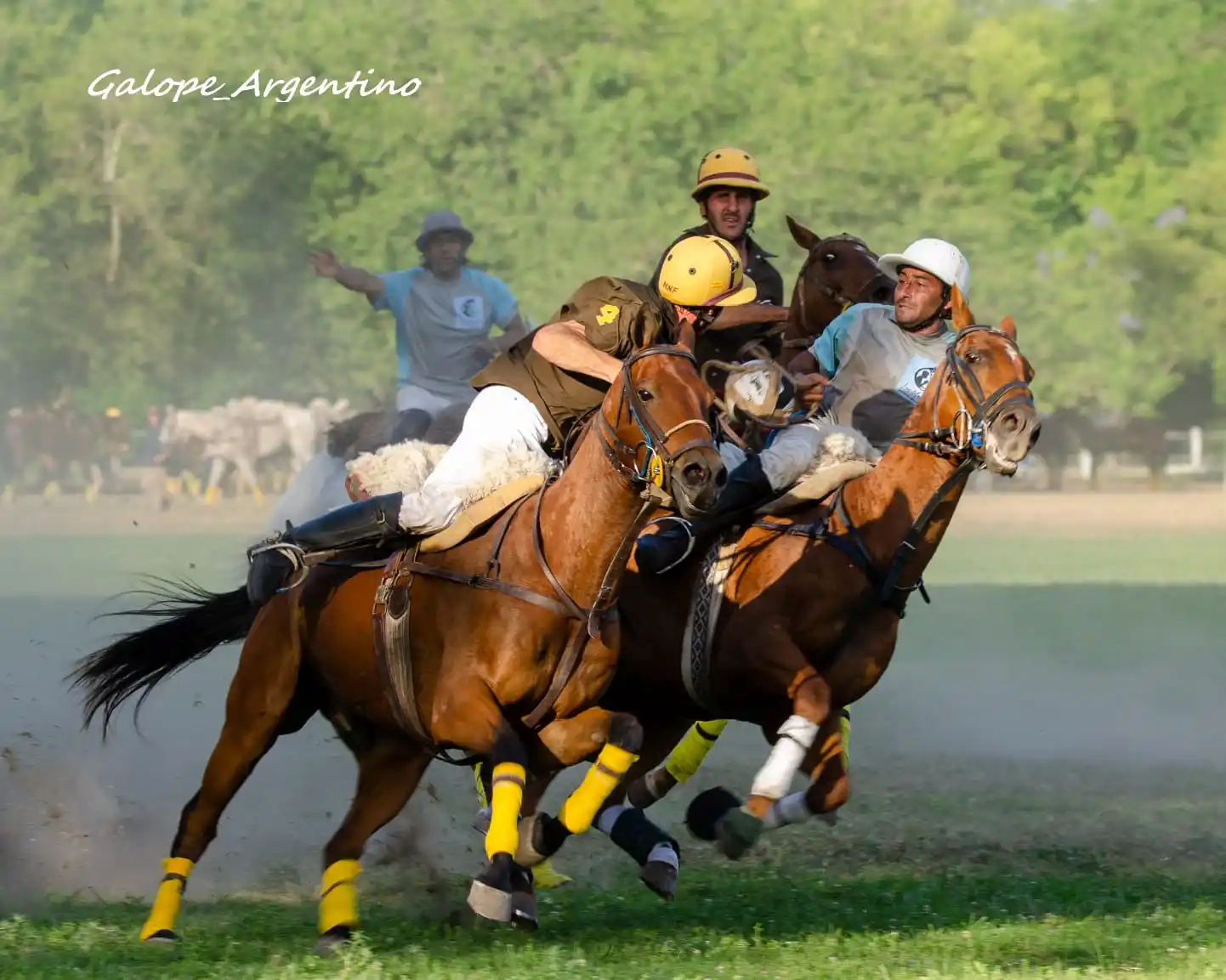 Triple Corona con presencia chascomunense: El próximo fin de semana concluye la etapa clasificatoria del Abierto Argentino de Pato