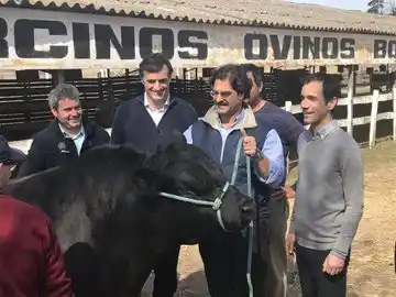 Sarquís en Expo Junín: "En las Paso hubo un favoritismo que hay que ver si se vuelve a reflejar en la general"