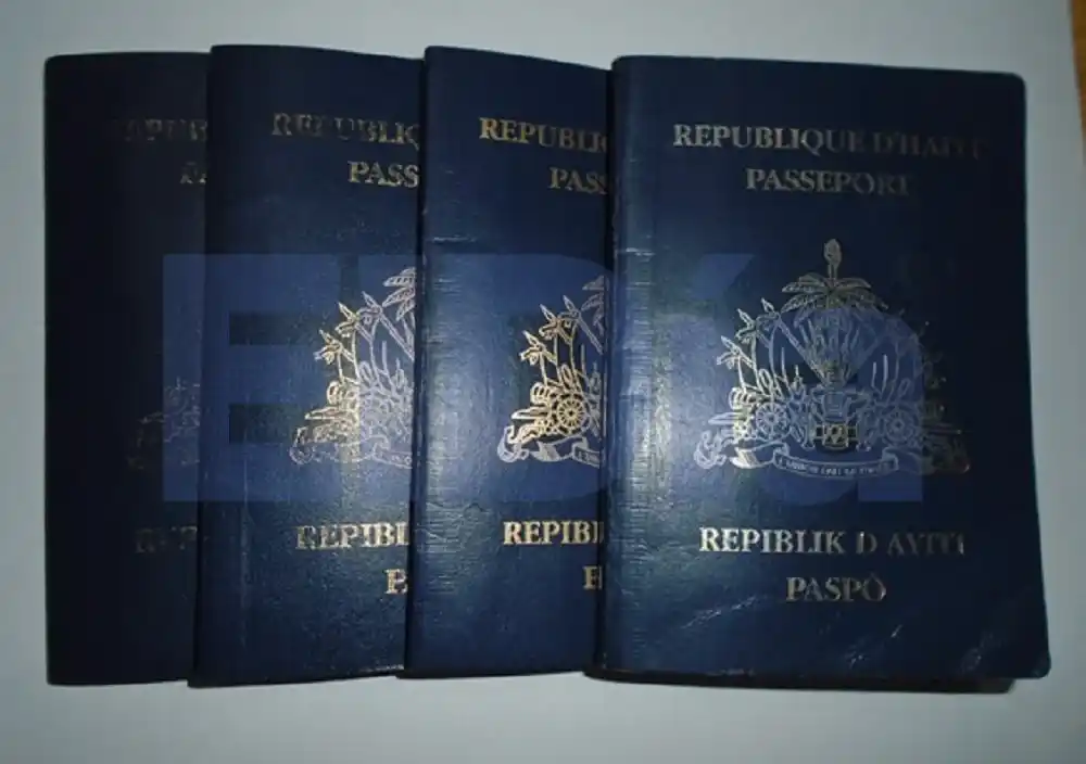 Gendarmería detectó a cuatro inmigrantes haitianos que ingresaron clandestinamente 