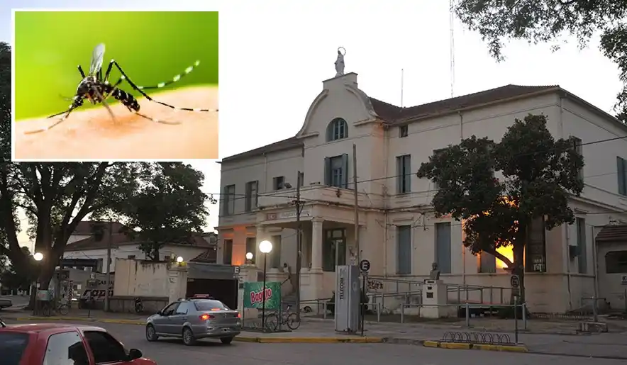 Confirmaron tres casos de dengue en el Hospital Centenario
