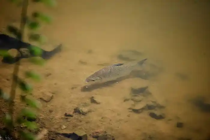 Jardín Florida se suma al sistema de recursos naturales de Santa Fe