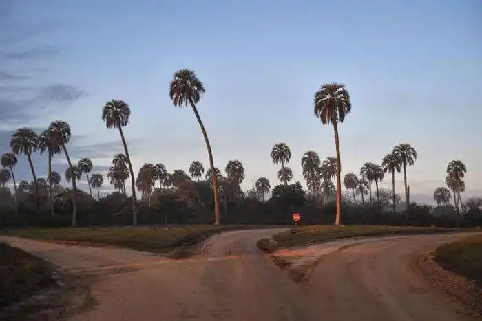 El programa PreViaje quintuplicó lo  facturado en la  primera edición
