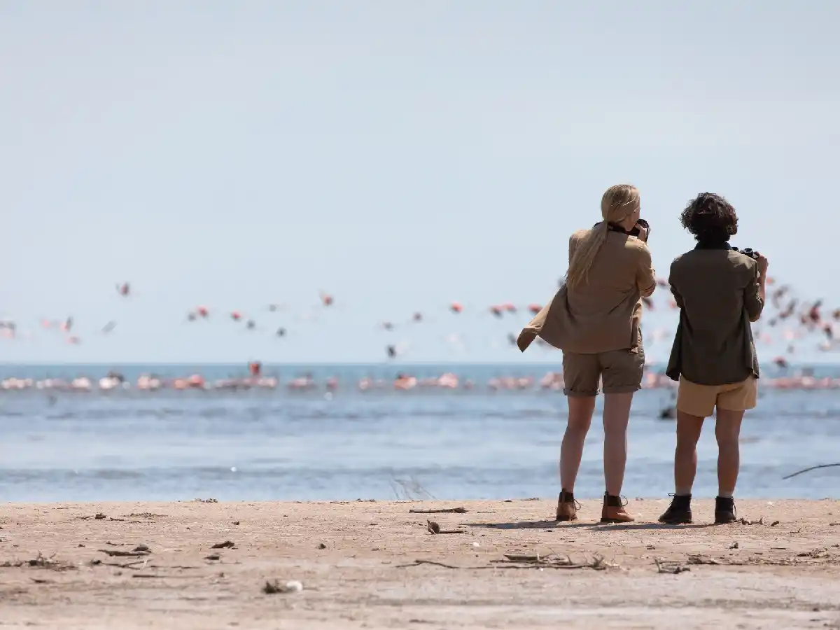 Parque Nacional Ansenuza: ¿Qué hay y que se viene?       