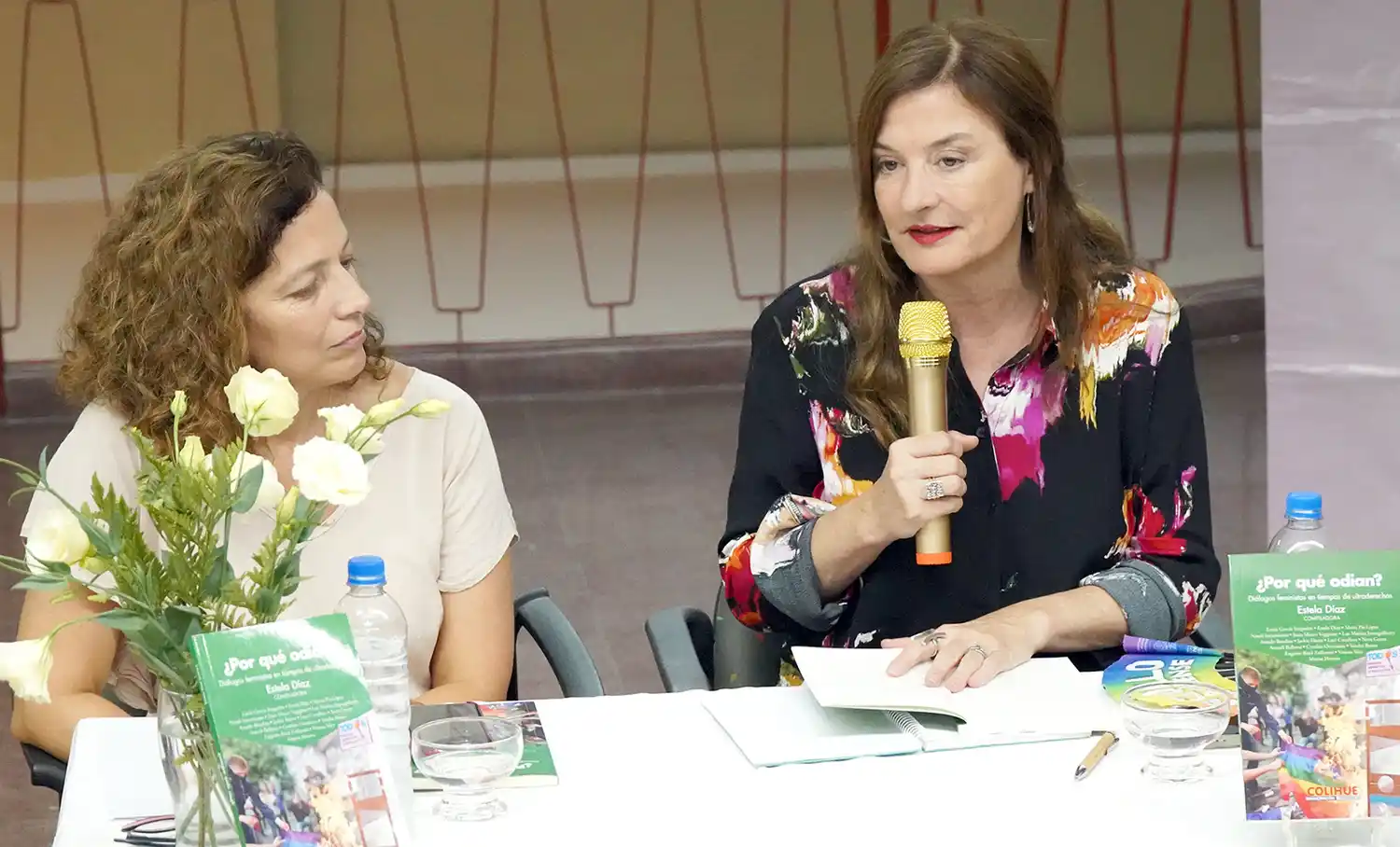 Estela Díaz. la ministra habla acompañada por Leticia Locio