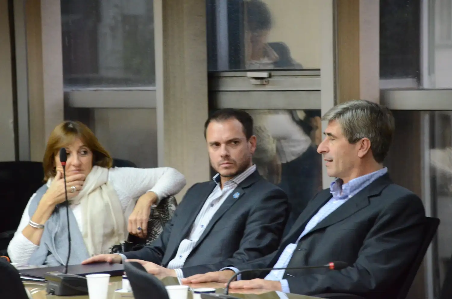 Marcucci fue designado miembro de la Comisión para la Reforma Tributaria