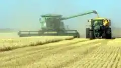 Denuncian la presencia de maquinaria pesada en las islas