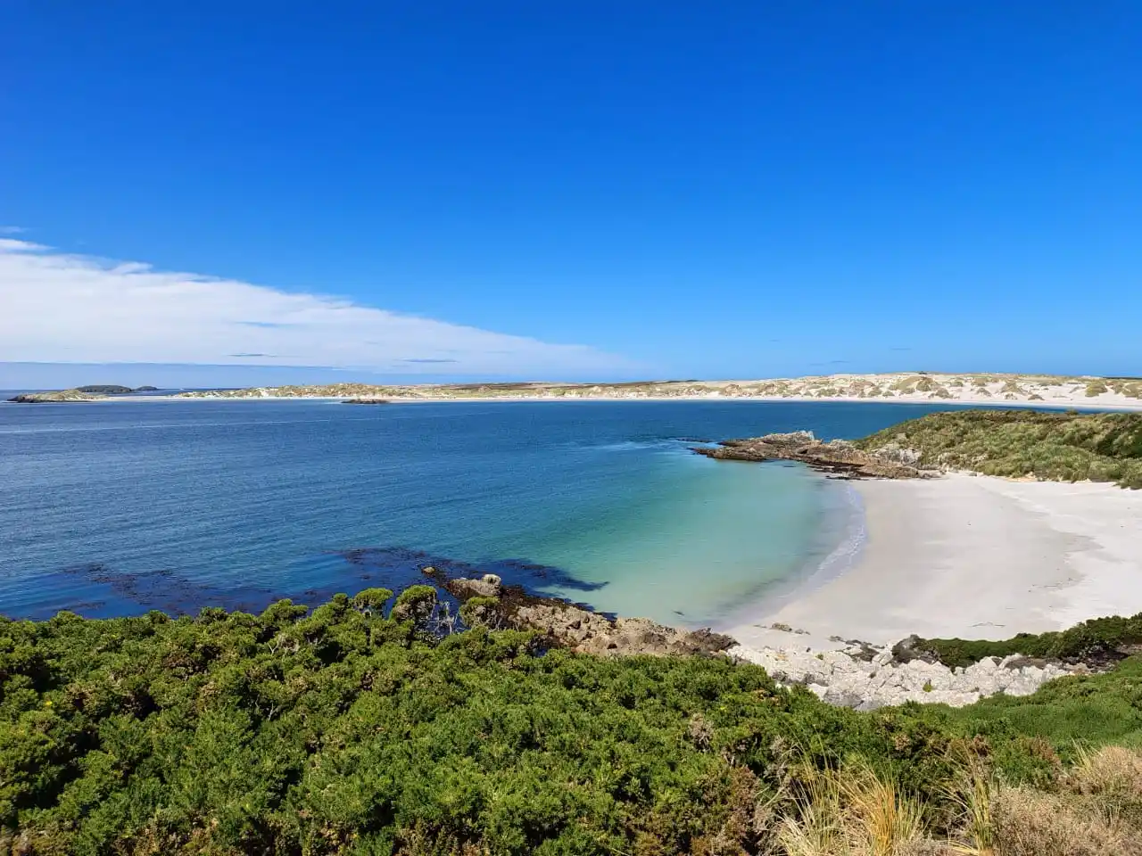 malvinas sur - 4