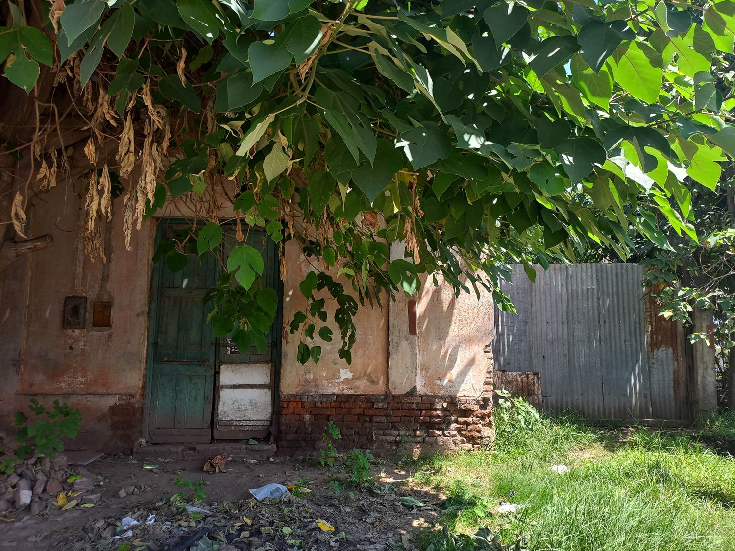 Sigue internado el hombre mordido por sus perros y sus vecinos están preocupados