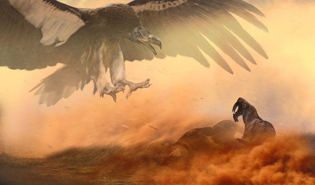 Encuentran restos prehistóricos del "Ave del terror" en Chapadmalal
