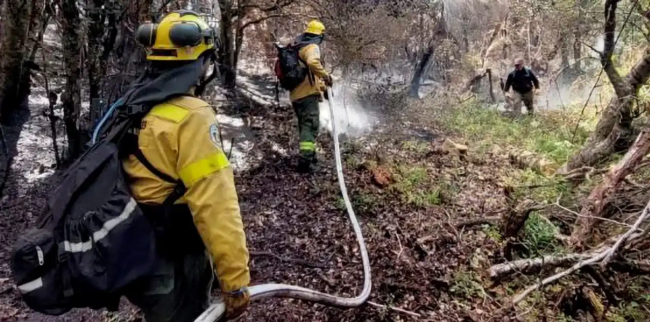Se declaró la emergencia ígnea en Río Negro para prevenir los incendios forestales