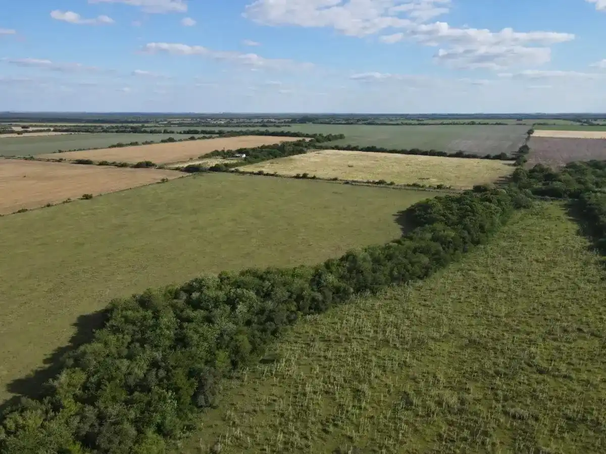 Un informe vuelve a poner en debate la extranjerización de la tierra en Argentina y detalla la situación en Entre Ríos
