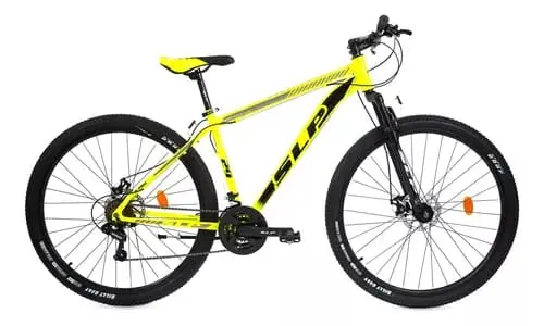 Los delincuentes sacaron la bicicleta del patio y se la llevaron.