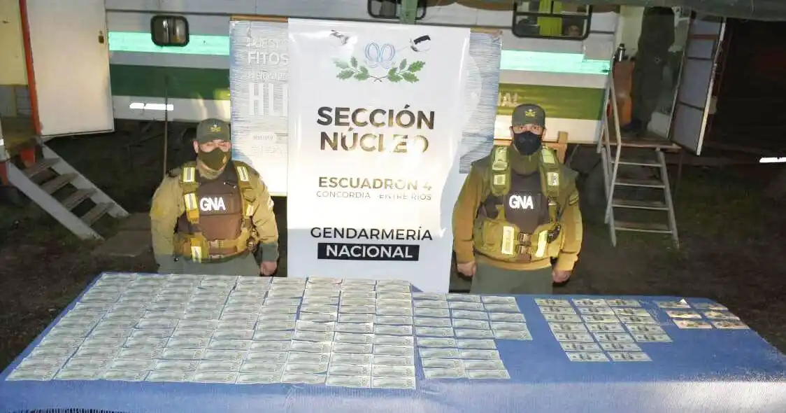 Gendarmería: secuestro de dólares en controles de ruta