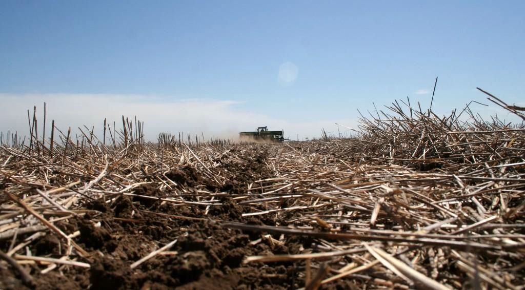 Se necesita un 30% más de trigo para comprar los mismo insumos que en 2021