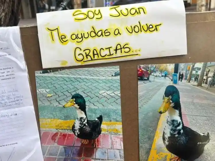 El libro de firmas ya superó las 7.000 adhesiones en pocos días, con vecinos y turistas unidos por la causa. Foto: Gentileza