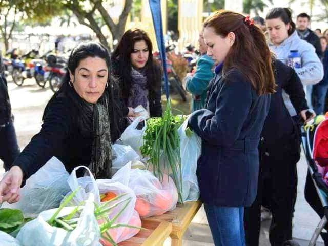 Sigue esta semana la venta de bolsones saludables