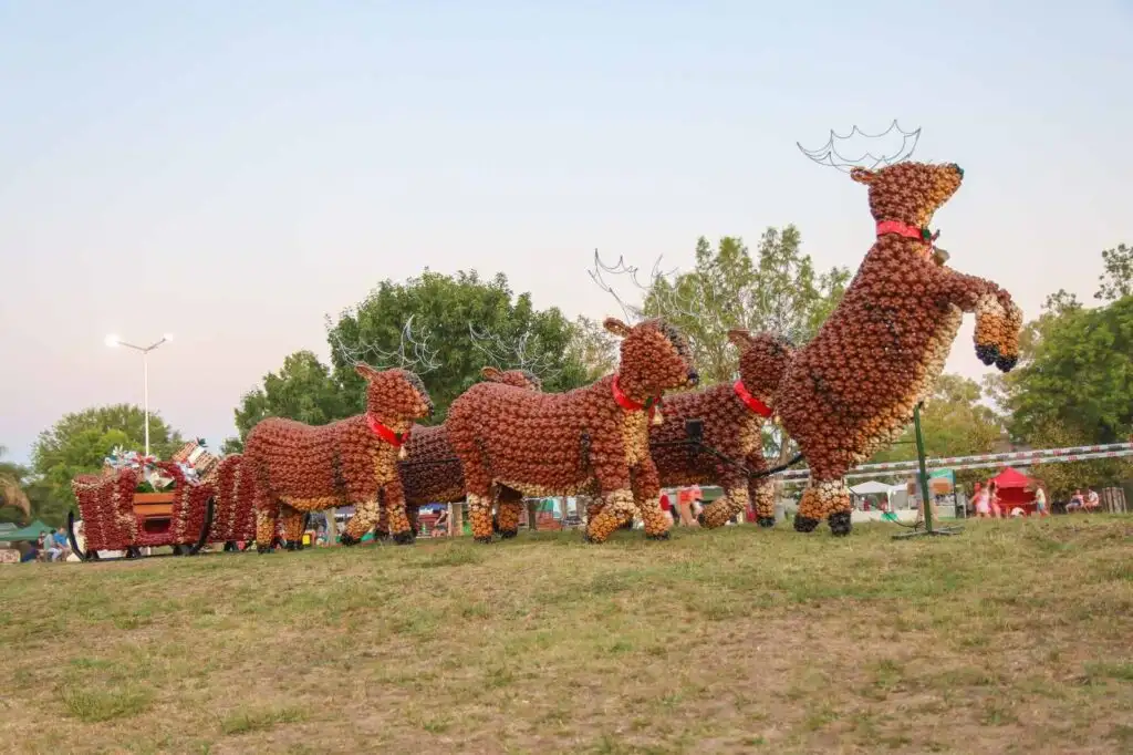 Presentarán la tercera edición de la fiesta provincial “Galarza en Navidad"