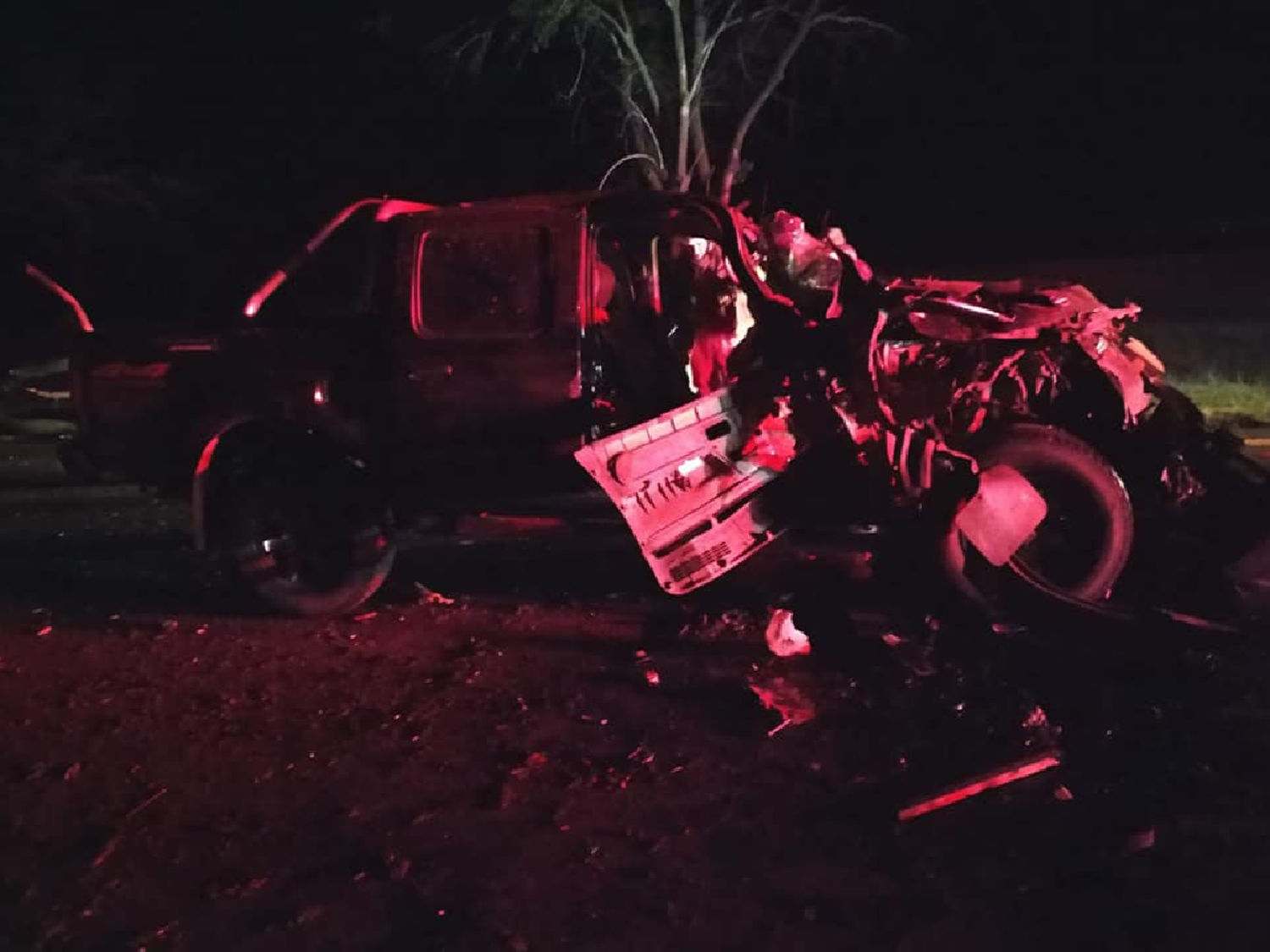 Árbol caído en la autovía 19 provocó un grave accidente