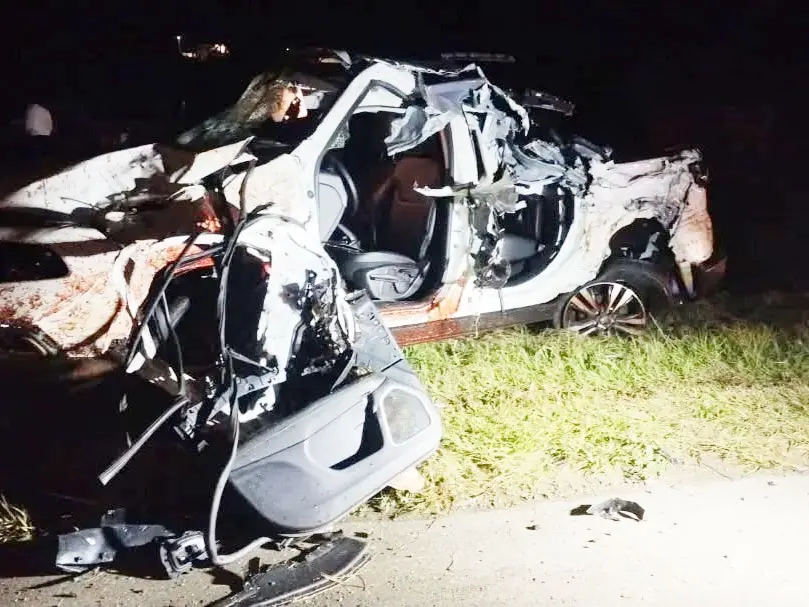 Un caballo suelto provocó múltiples choques en la Ruta 14