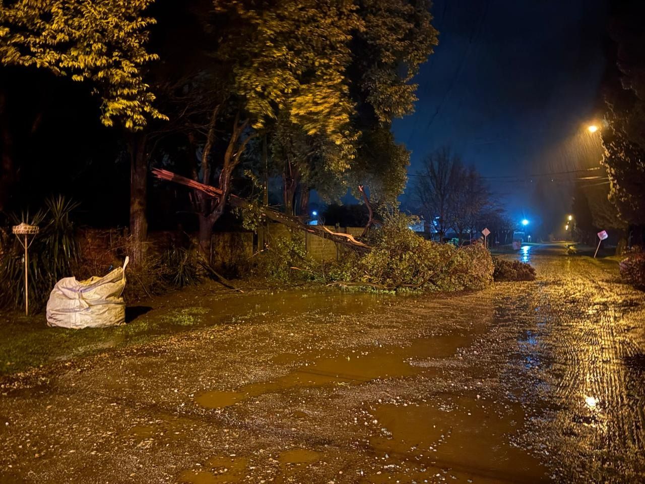 Los bomberos venadenses intervinieron en la zona del cruce de rutas por un árbol caído. Foto: BVVT