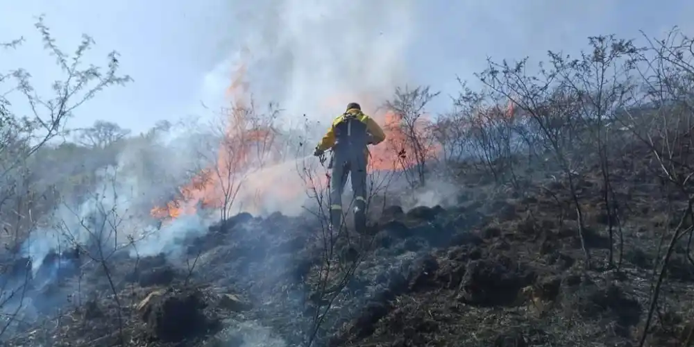 Se registraron más de 40 focos ígneos en las últimas 24 horas.