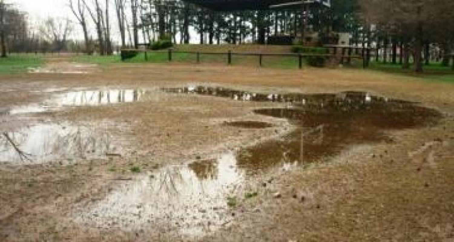 Suspendieron la Fiesta de la Ensaimada