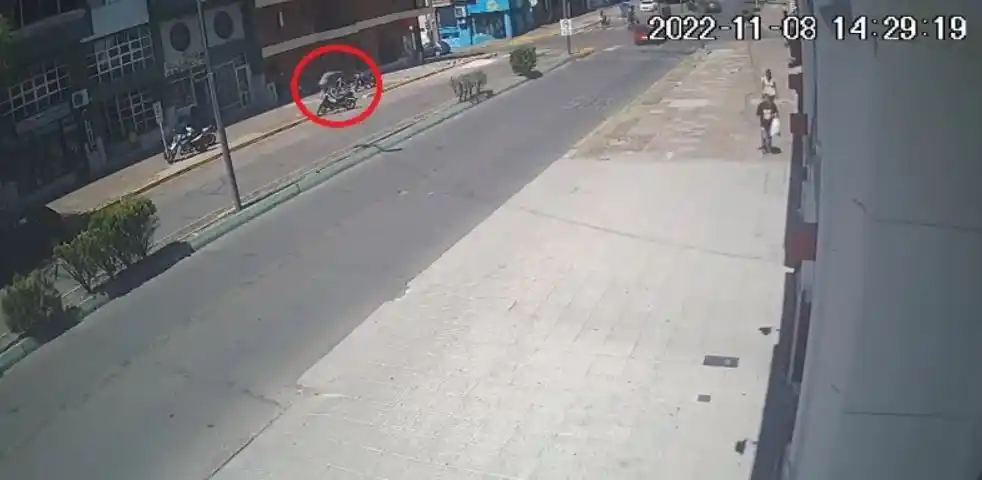 Así robaron una bicicleta a plena luz del día