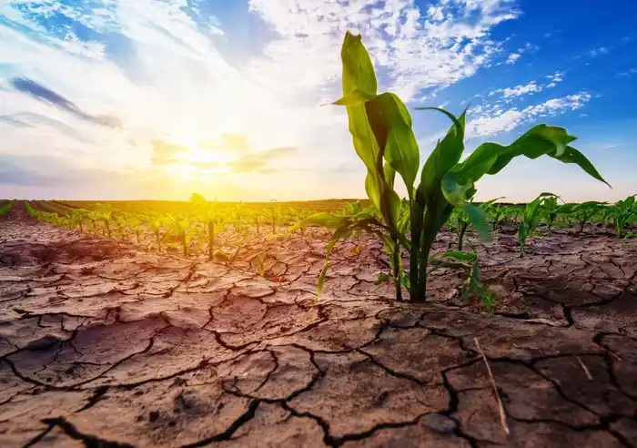 Entre Ríos completamente afectado por la sequía