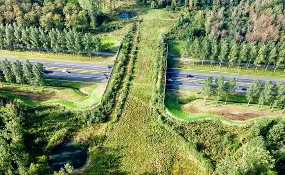 Autopistas Ecológicas; llamamiento de la ONU