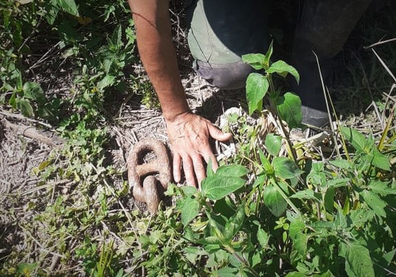 Vuelta de Obligado: los eslabones hallados en la zona de arroyo Los Cueros no corresponden a la Batalla