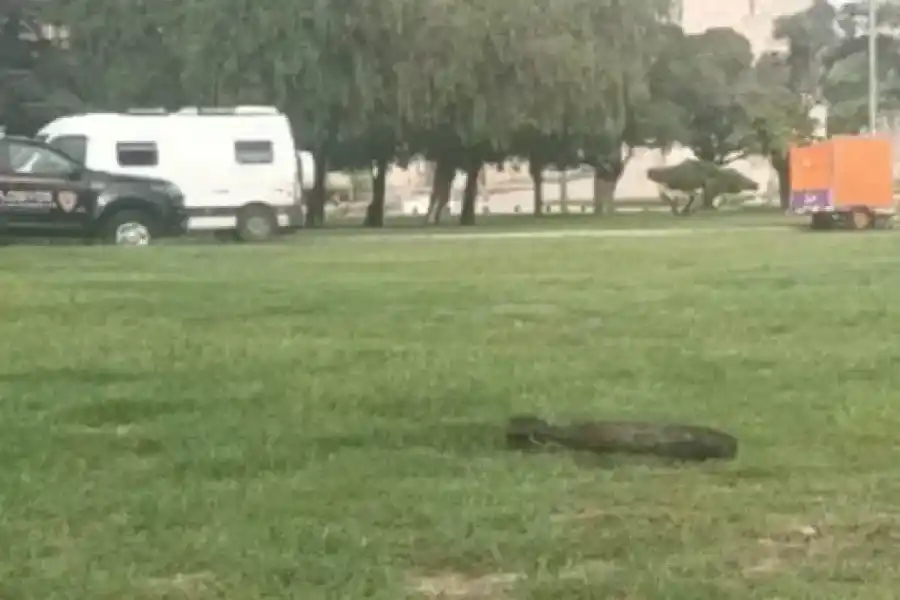 ¡Que susto! Un pescador en el Río Paraná sacó un proyectil de mortero intacto