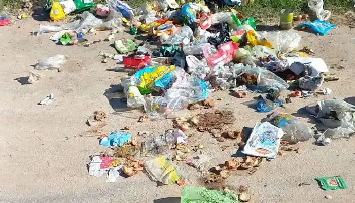 Basura en Mateo Sbert al 1600