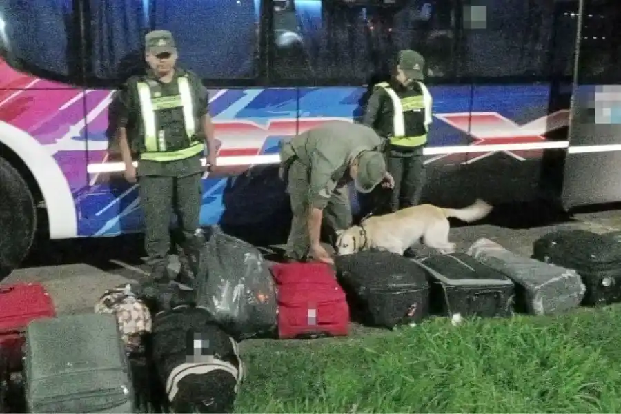 "Droga la exploradora": incautaron 5 kilos de en una mochila en la autopista Santa Fe - Rosario