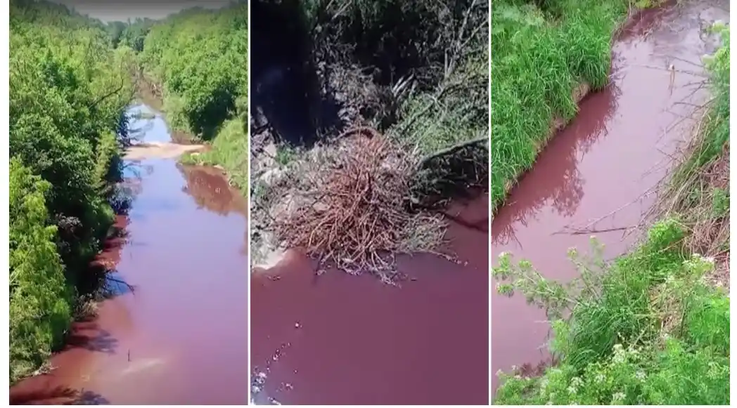 Fundaciones ambientales denuncian penalmente la contaminación en la cuenca del río Paraná