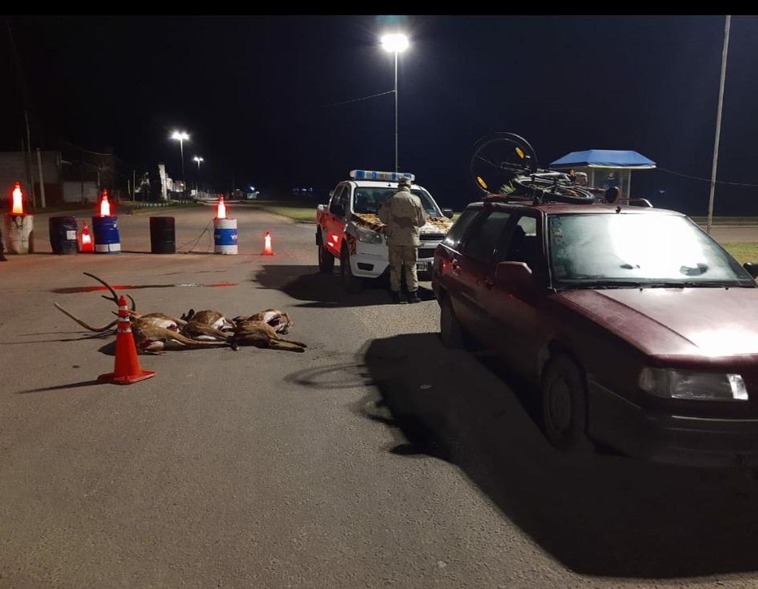 Ingresaban a la ciudad con tres ciervos faenados en el auto