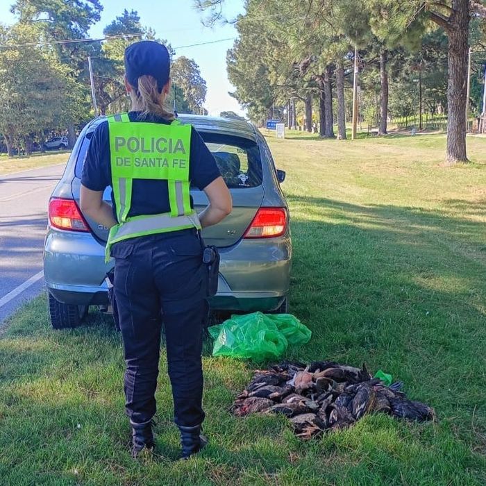 Guardia Provincial - 4