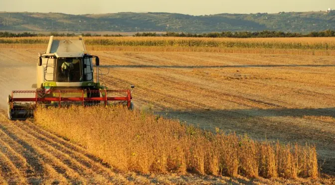 Jornadas sobre el trigo y la cebada en Tandil