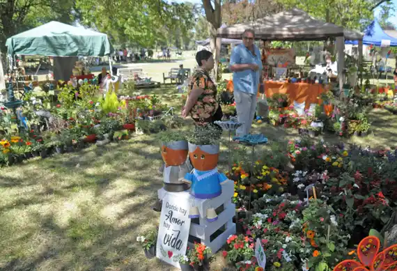 Agenda social y cultural