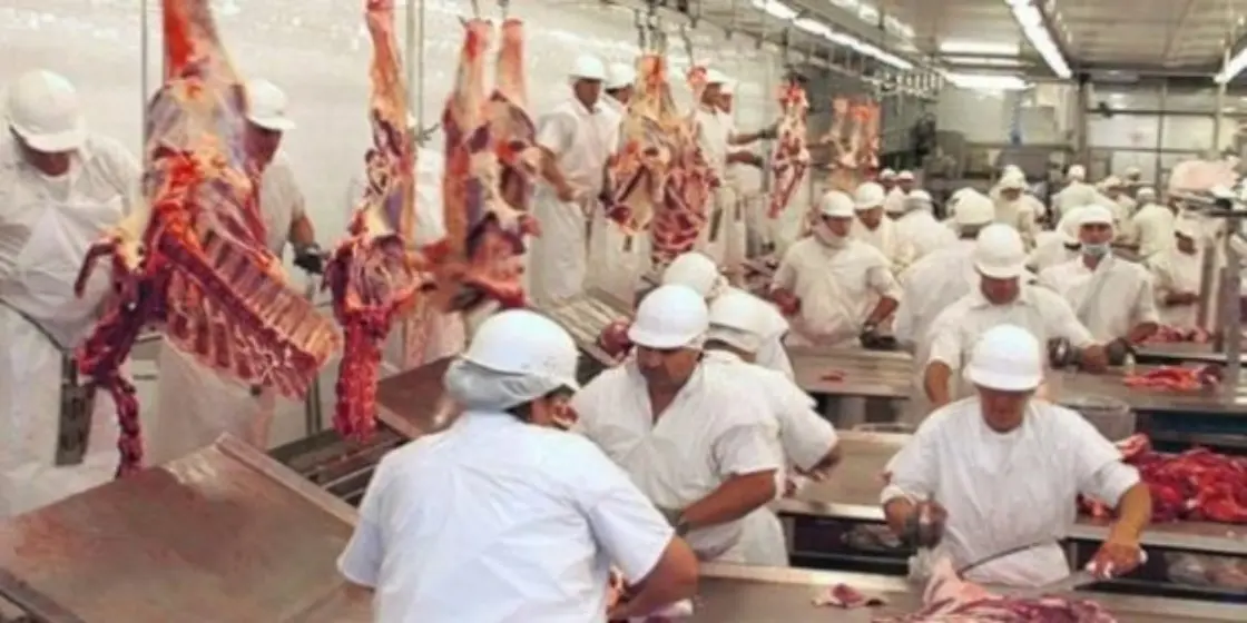 Por la falta de hacienda, Swift dio vacaciones a los empleados de sus plantas de VGG y Venado Tuerto