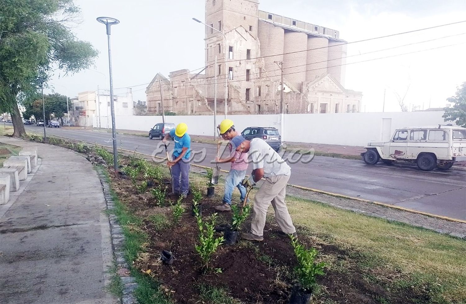 Plazoleta de 59 entre 16 y 18