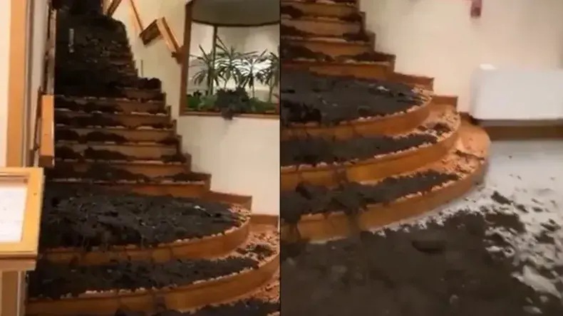 Alud en Bariloche: confirman la identidad del turista fallecido y buscan a otros dos huéspedes del hotel