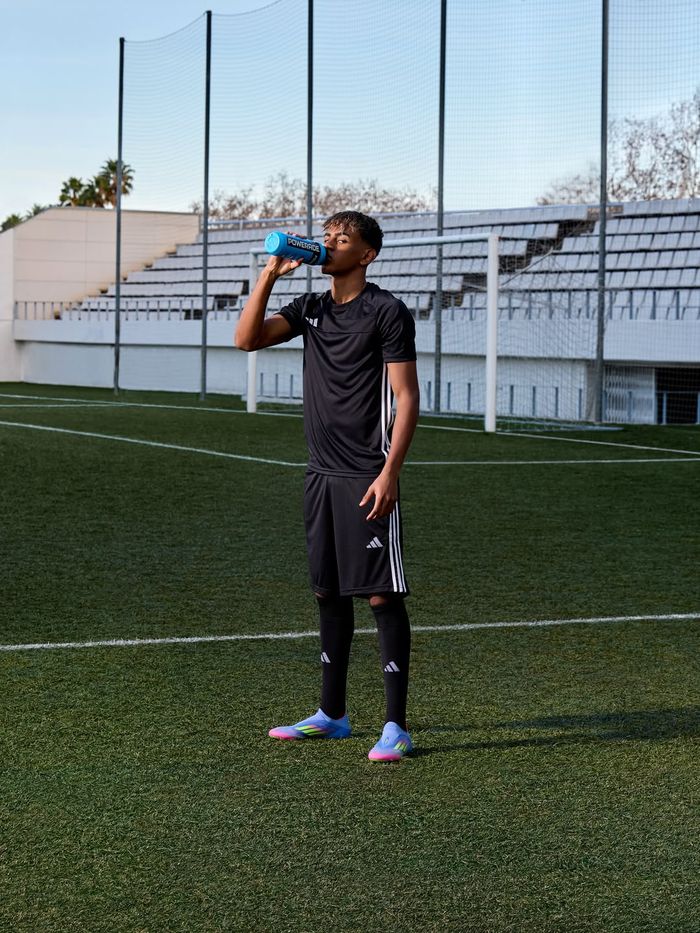 Lamine