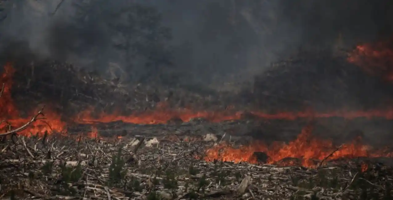 Incendios en la Patagonia: solicitan ayuda del Gobierno nacional