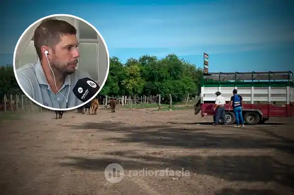 La mirada del campo rafaelino con la baja de retenciones: "Actualmente el clima está siendo favorable"