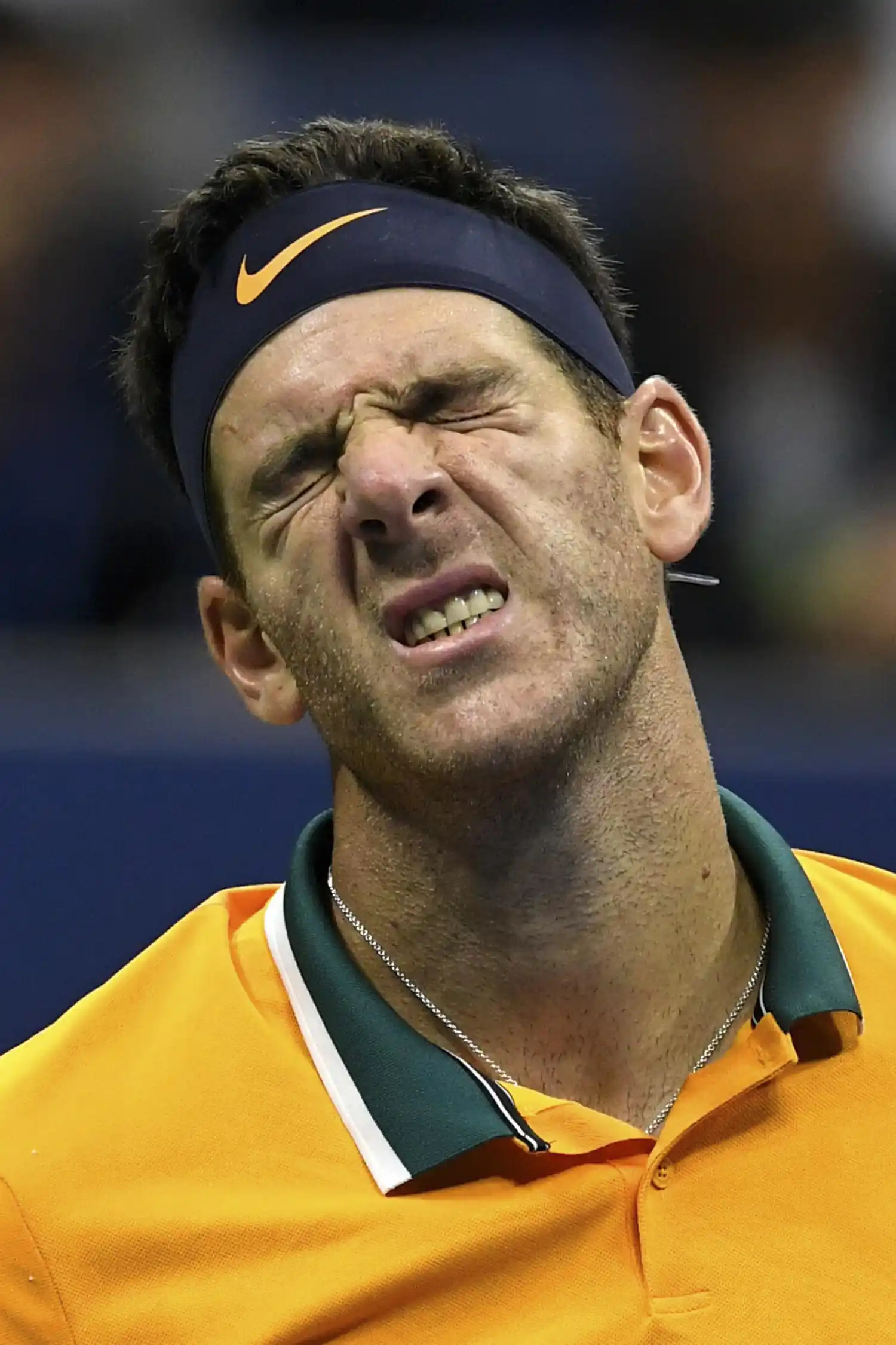 Del Potro se bajó por lesión en Queen's