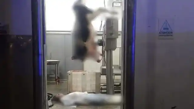 El hombre se descompensó súbitamente mientras trabajaba en el procesamiento de carne vacuna.