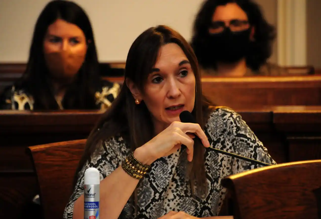 Por mayoría se aprobó el aumento de la tarifa de transporte