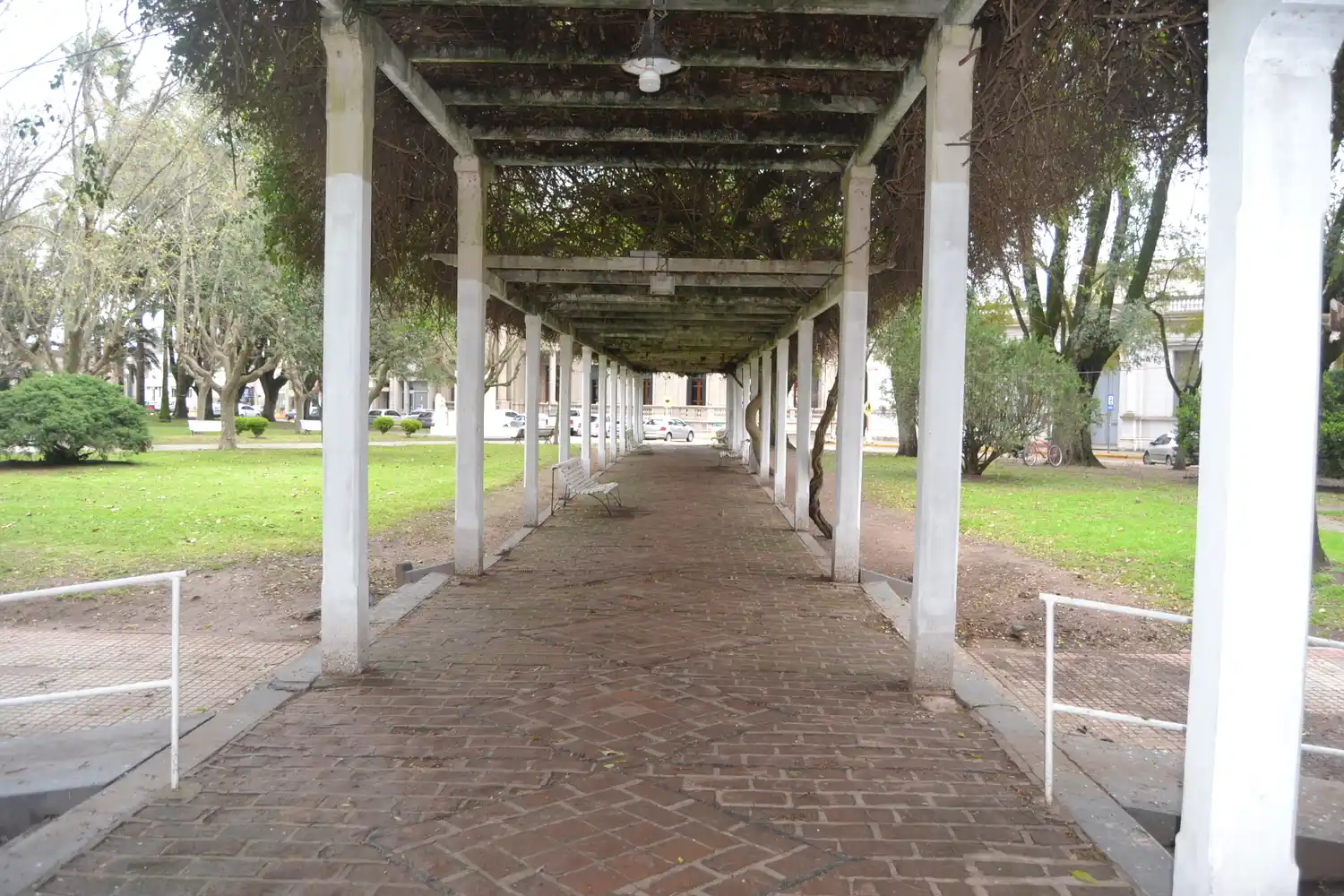 Coronavirus: 4 nuevos positivos en Gualeguay